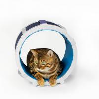 Magnetoterapia PMT Qs Vet - Solenoide