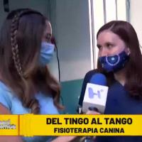 Interview mit Frau Dr. Sades - Canal 10 Television abierta de Mexico