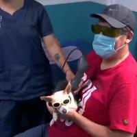 MLS Laser Therapy - Canal 10 Televisión abierta de México