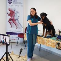 Cours laser ASAveterinary classe 4  - Dr Deborah Sades