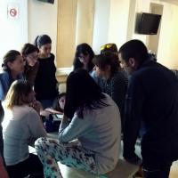 MLS Laser Therapy Training, SIFIRVET - Cremona