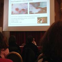 Laserterapia per animali esotici al Congresso SIVAE di Cremona