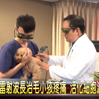 MLS®-Lasertherapie und das Gerät Mphi Vet Orange auf TCNN, Taiwan