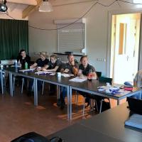 Laser therapy training for horses - Netherlands 2022