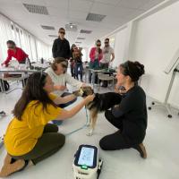 Formazione M-VET laserterapia - Physia, Francoforte