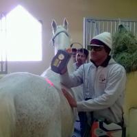 Qatar: training inaugurates the installation of Mphi Equine Orange at a prestigious stud farm