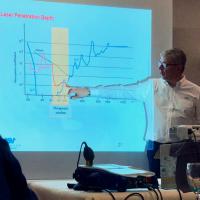 Theoretical MLS Laser Therapy for equines - France