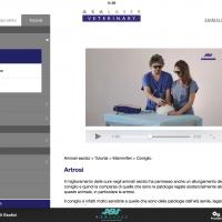 APP ASAVeterinary | Tutorial animali esotici
