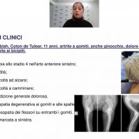 UNISVET Webinar geriatric patients 15/02/2022