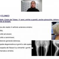 UNISVET Webinaire patient gériatrique 15/02/2022