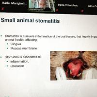  Webinar Tratamiento de las estomatitis