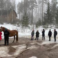 Entrenamiento de terapia con láser MLS para caballos @ Pinewood Stable, Mäntsälä