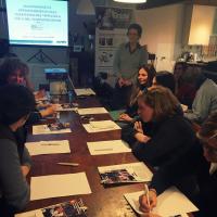 MLS-Lasertherapie für Pferde: Workshop zur Vertiefung