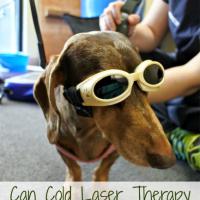 Jessica Rhae: this is how she cured her little Gretel with MLS® Laser Therapy