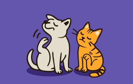 Dermatite atopica del cane