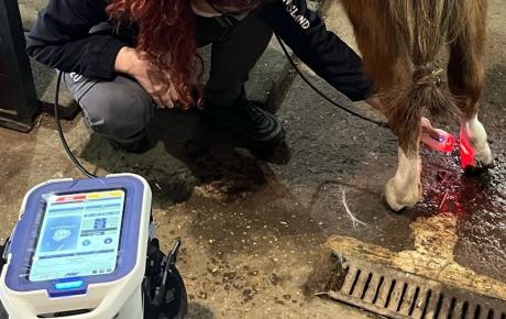 Trattamento laserterapia MLS con M-VET per avulsione della parete ungueale nel cavallo