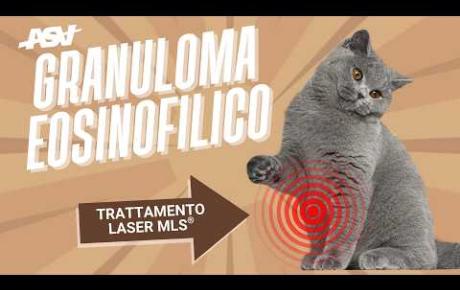 Embedded thumbnail for Blu, gatto con granuloma eosinofilico
