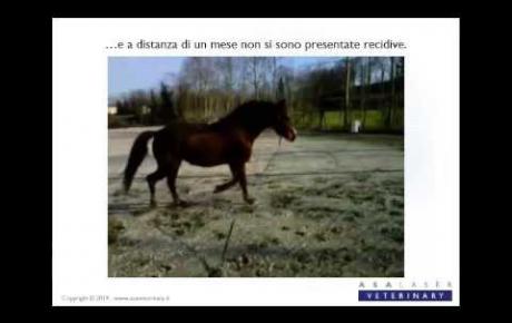 Embedded thumbnail for MLS® per il trattamento di una sobbattitura in un cavallo scalzo